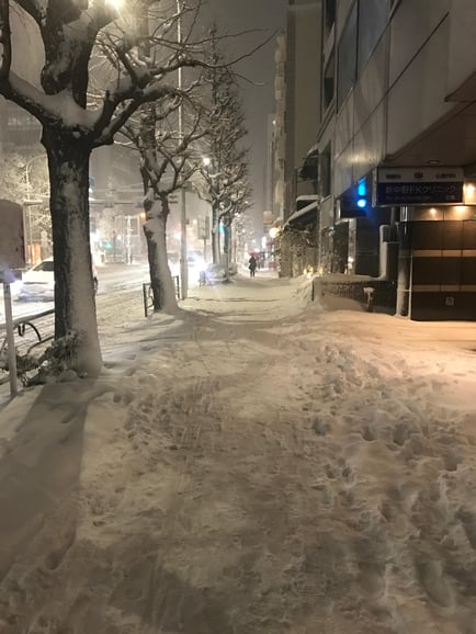 雪の降る道