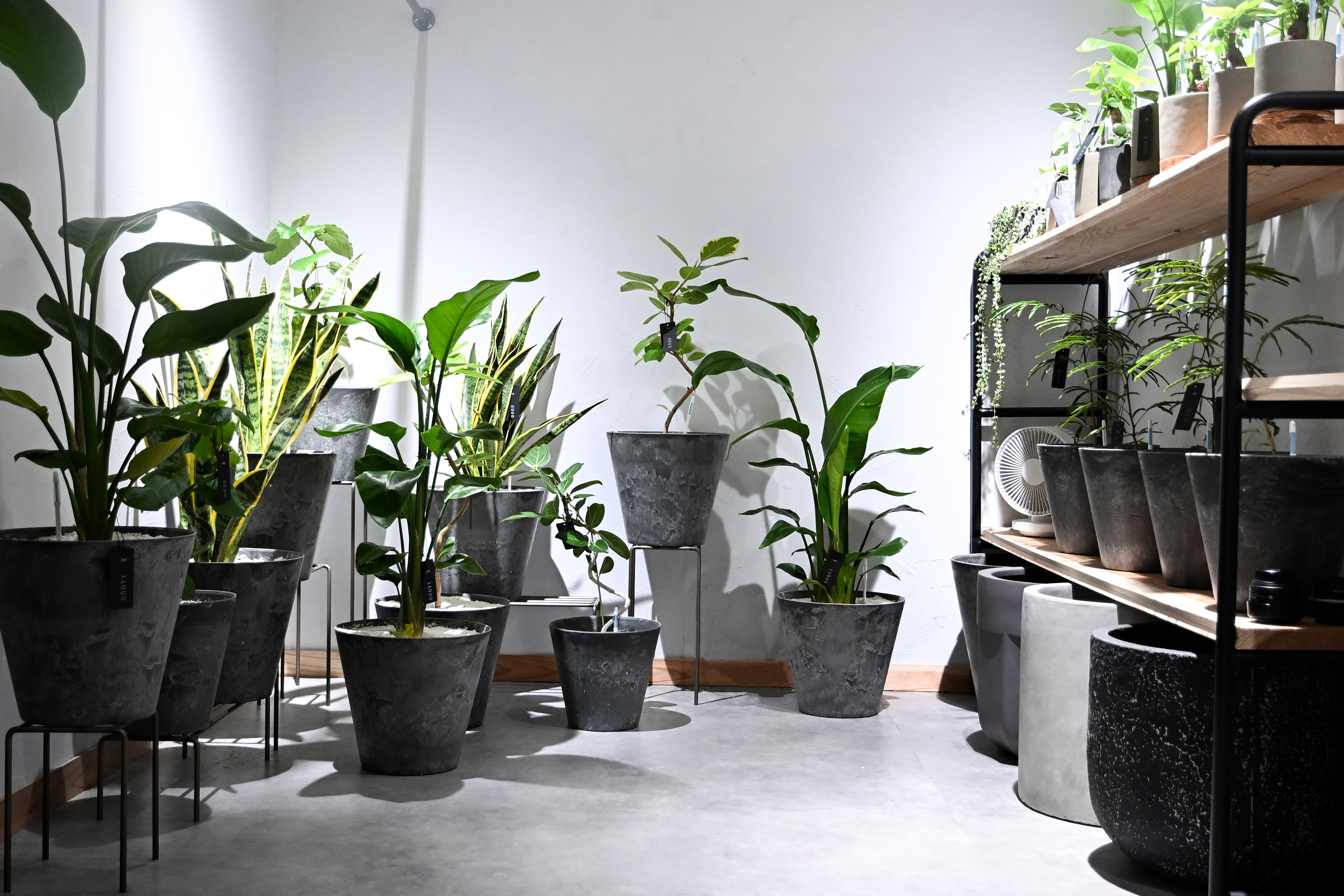 ONEPLANTS 店内のイメージ