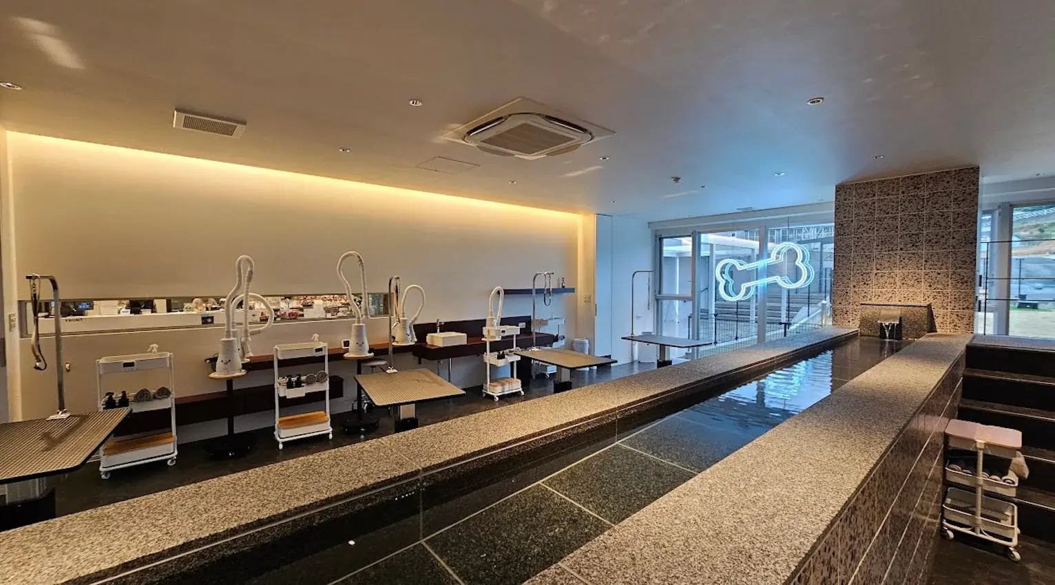 22_dogspa